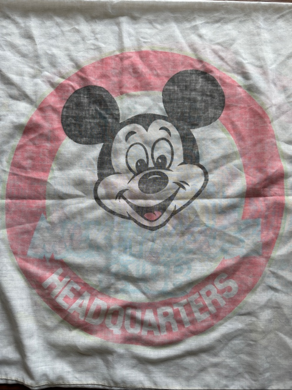 Vintage 1970’s Mickey Mouse Club Pillowcases